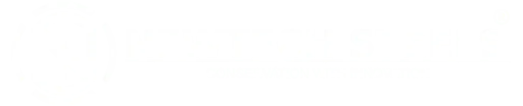 NewTech Steels
