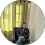Vikas Kamboj